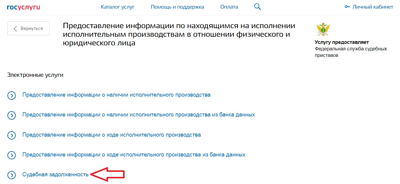 Как бесплатно узнать долги судебных приставов на Госуслугах по фамилии  что делать, если оплатил судебную задолженность через Госуслуги, а у приставов висит долг